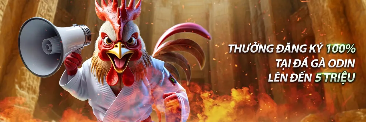 Tổng quan về nền tảng k9cc online